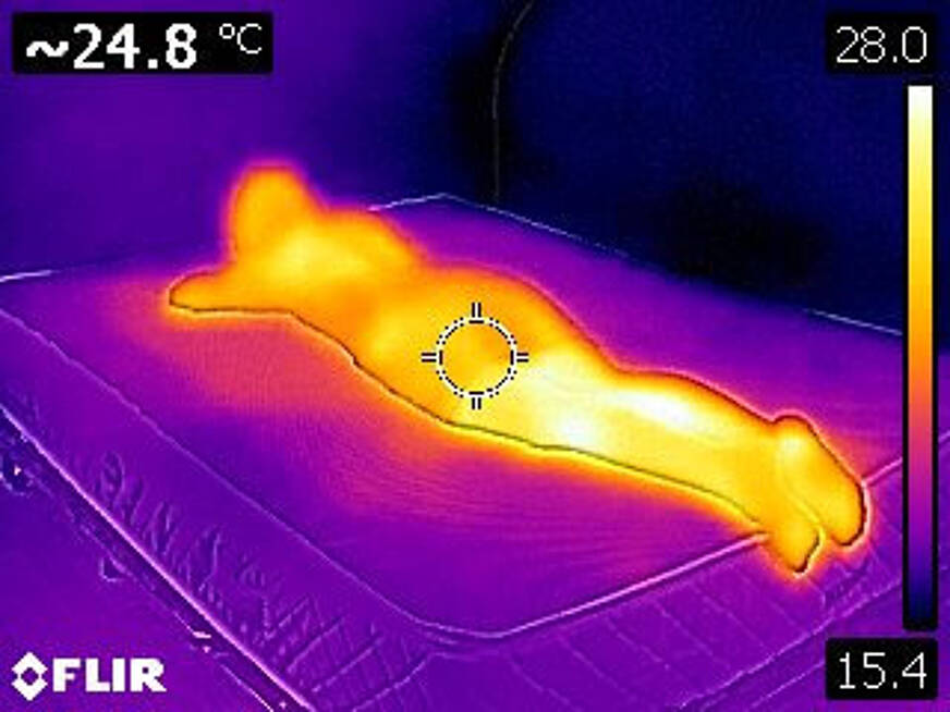Klimafoto Weltbett Matratze
